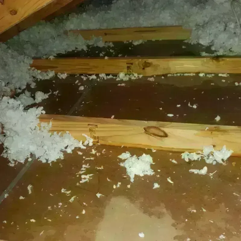 Attic Water Damage in Forest Park, OK