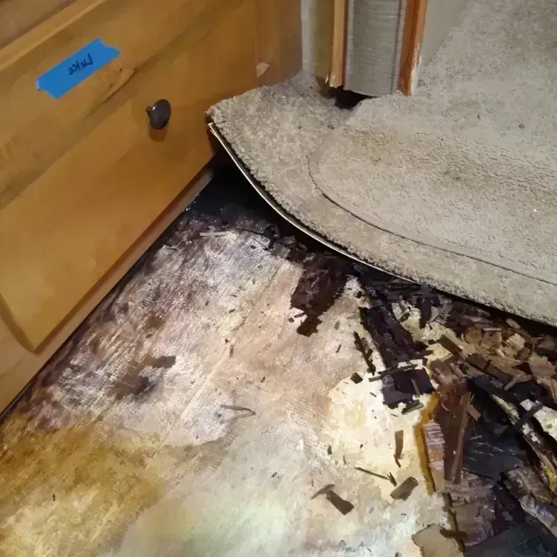 Wood Floor Water Damage in Forest Park, OK